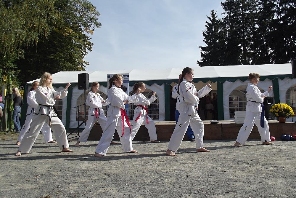 Program was very rich, except exhibition of our school Taekwon Do Sparring Mnichovice there were