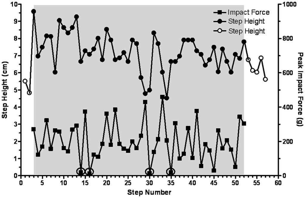 FIGURE 6 Stepheight and peak impact force on the trip rod are shown for 52 consecutive trip steps for a representative cat.