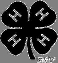 Tuesday, October 7, 2008 Sergeant Bluff Methodist Church First and Baker Streets 7:00 8:30 pm The admission fee to the 4-H Holiday will be a donation of school supplies that will be donated to a