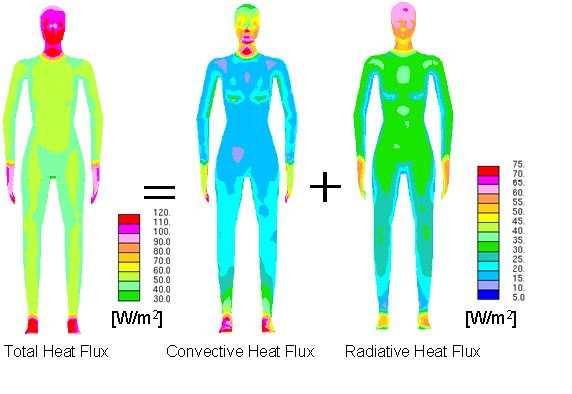 Heat flux emited by human being consists of convective and radiative heat flux. What is seen in figure 2.8 the largest amount of heat is generated by head as well as by hands and feet. Figure 2.