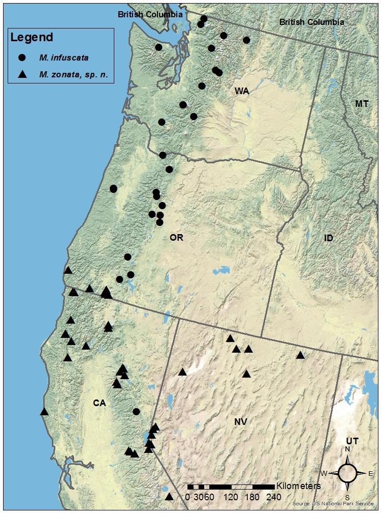 52 Fig. 52. Distribution of Moselia species in the Pacific Northwest. Published records of M.