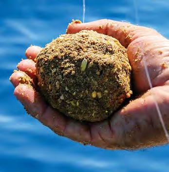 Bury that bait in some loose chum. Mold it into a chum ball, below, and let it fall. Right, cover the line with some loose chum as you drop the bait. them biting.
