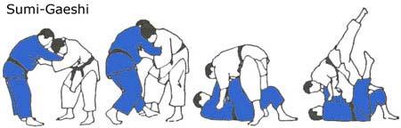 Blue Belt Minimum Age for Yellow Belt is 13 Years All lower grading syllabus forms part of this