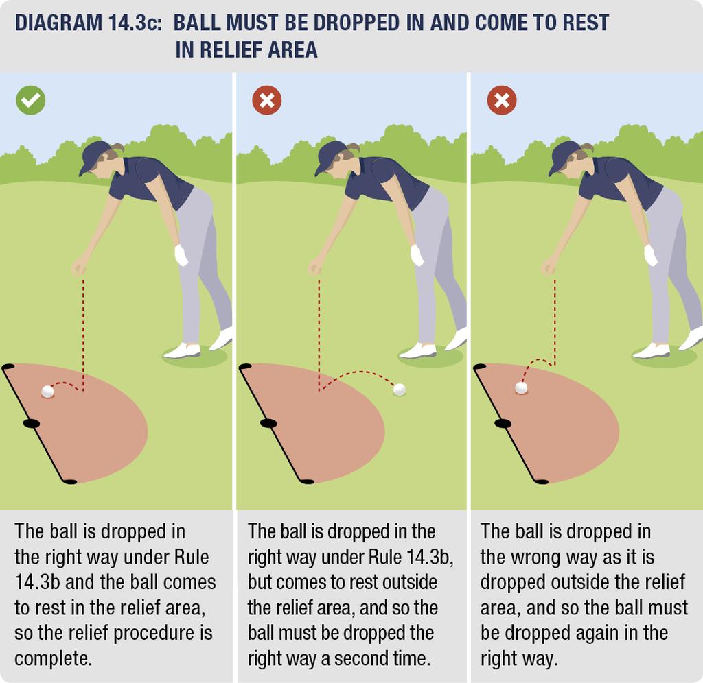 2019 New Rules Fact Sheet. Dropping and The Relief Area (Rule 14). Dropping height is still regulated. The ball must be dropped in the right way.