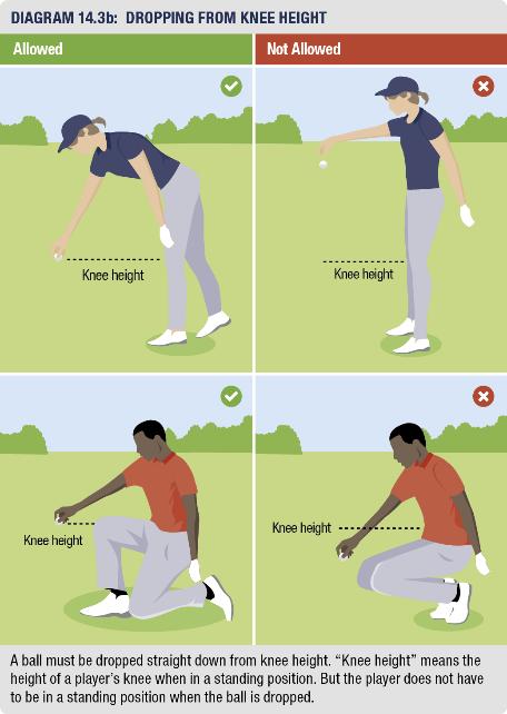 The ball must be dropped straight down so it falls to the ground without the player throwing it, spinning it or rolling it and it must not touch any part of your body or equipment BEFORE it hits the