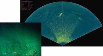 Leakage Detection Teledyne RESON has successfully demonstrated systems capable of detecting seeps and leakages, either generated by nature or unintended man-made leakages.