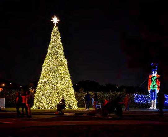 Holiday Tree Lighting Dec.