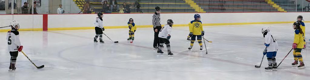 Winter Carnival Hockey Events 3-ON-3 HOCKEY TOURNAMENT These tournaments are for Dynamite and Mite House League players. Space limited to the first 28 players to register.
