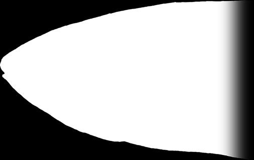 anal fins with scales; ) 18 or less circumpeduncular scales; E) 31 35 scales in longitudinal series; F) a