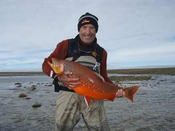 Arctic char : Why Fishes are Like Onions Salvelinus alpinus