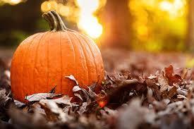 Location: Allendale Location. October 5 th, 2018 Event: Zeeland PumpkinFest Details: Come join us for a scavenger hunt downtown and the Pumpkin Parade.