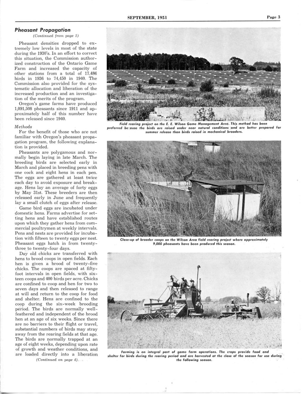 SEPTEMBER, 1951 Page 3 Pheasant Propagation (Continued from page 1) Pheasant densities dropped to extremely low levels in most of the state during the 1930's.