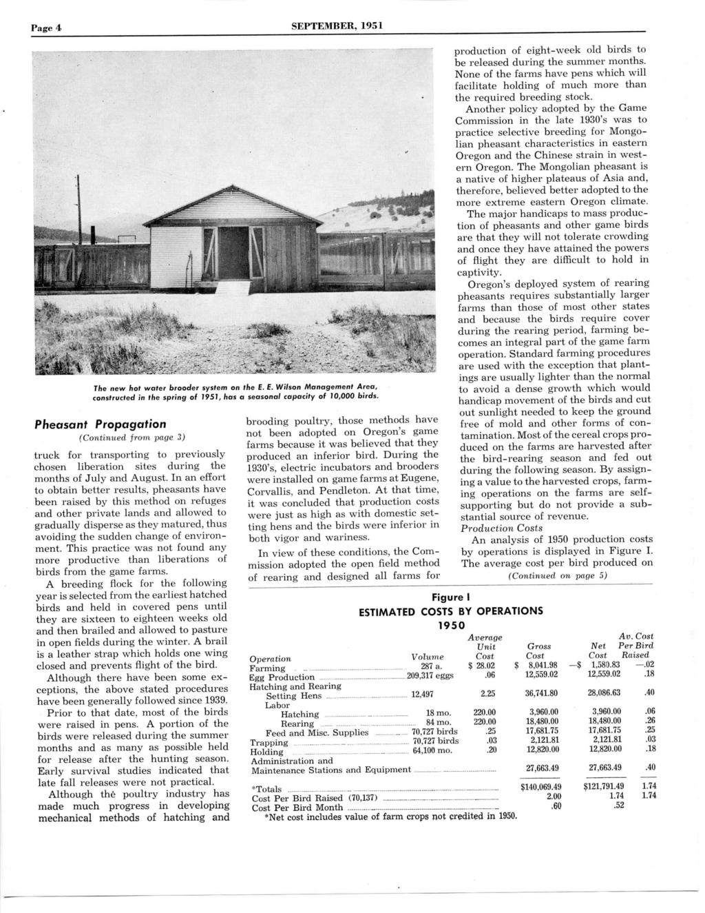 Page 4 SEPTEMBER, 1951 The new hot water brooder system on the E. E. Wilson Management Area, constructed in the spring of 1951, has a seasonal capacity of 10,000 birds.