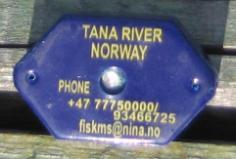 with DST-tags in four rivers (measuring water temperatures) Atlantic