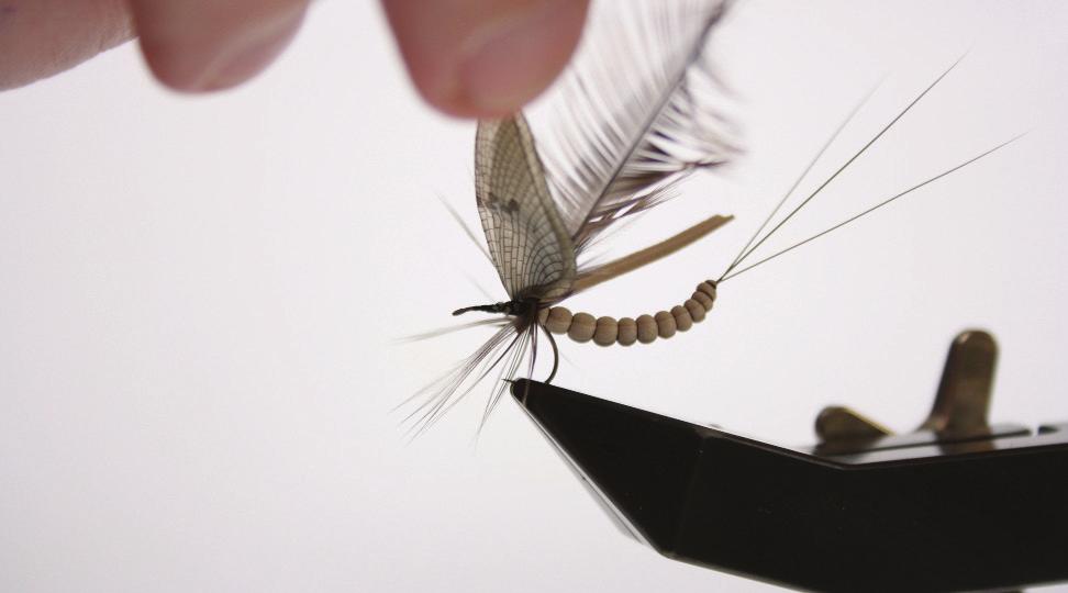 Wind your hackle in 2-3 tight turns behind the