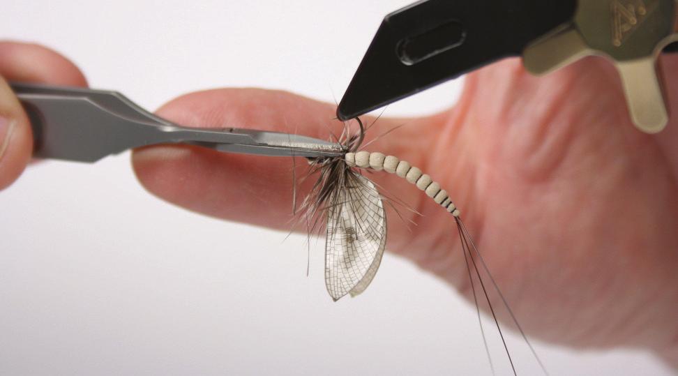 Trim the excess hackle on the underside of the fly, this