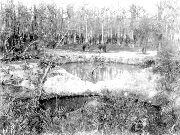 Page 5 of 5 Figure 5.3.1..7: Two sinkholes in Lake Cascade (1932). The Bradford Brooks chain of lakes is a dynamic chain of lakes surrounded by magnificent cypress trees.