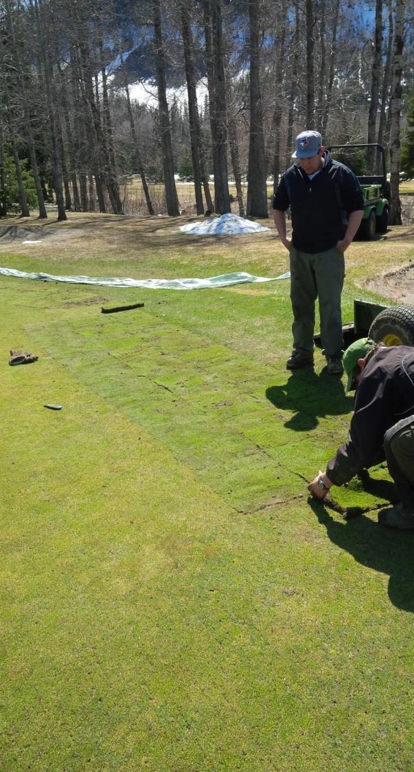 Bentgrass sod to damaged areas from 2013 April 29-May 7, 2014 Stripped bare areas and