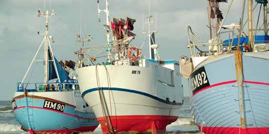 Thorupstrand Kystfi skerlaug explores all avenues to succeed Fishermen s guild is critical to the local community The Thorupstrand Kystfiskerlaug (Thorupstrand coastal fishers guild) was established