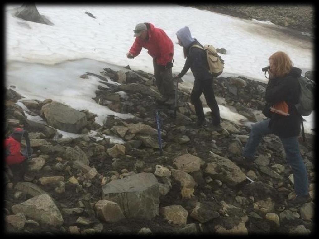 Yukon archaeologist Greg Hare and his team on the ice patches near Carcross. (Yukon government) Early bow and arrow technology The arrow point end blade proved to be quite a find, though.