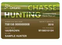 46) Non-Canadian Residents 3-year Sport Fishing Licence ($236.07) 1-year Sport Fishing Licence ($78.
