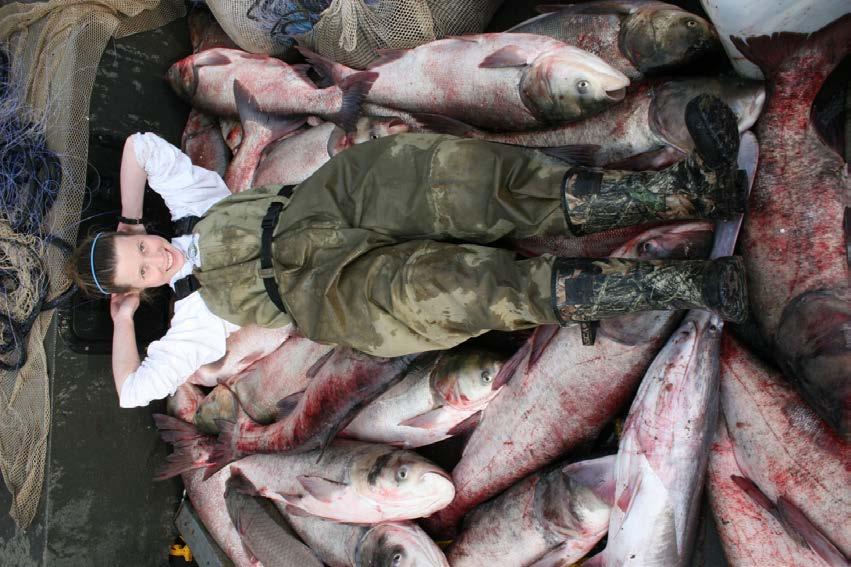 Impacts from Asian Carp will Worsen.