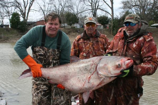 Annual Survival of Asian Carp is Higher Than Documented