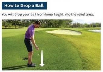 Defined relief area: The ball needs to be dropped in and played from a single required relief area (whereas today, although you are required to drop a ball in one area, it can roll outside that area