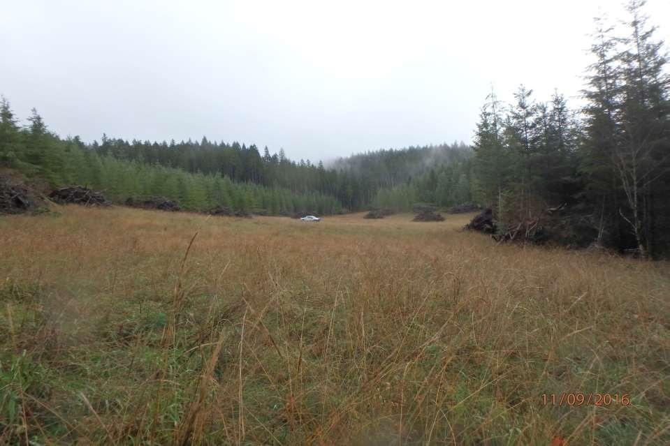 Elk Forage Fields 75 acres constructed Monitoring elk use