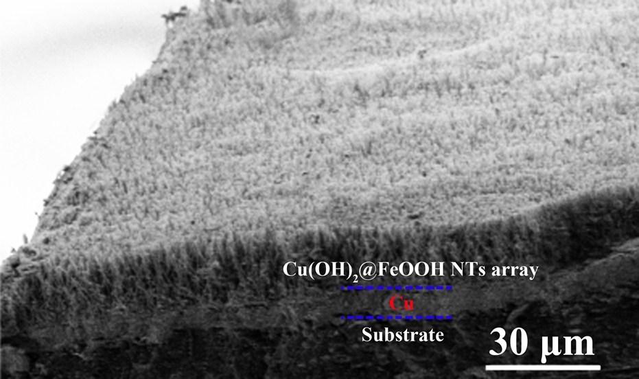 Fig. S9 Cross-sectional SEM image of the Cu(OH) @FeOOH NTs array/cu electrode. Fig.