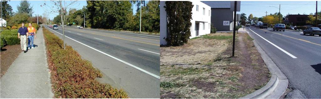 Appendix D Examples of Enhancements Buffered Sidewalk Worn Path Trail