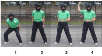 Signals It is important for umpires to use the correct signal and to demonstrate the signal properly. Using signals means all umpires know what you have called on a specific play.