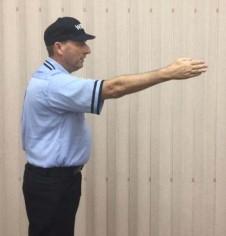 Check Swing The plate umpire may check with their base umpire to help determine whether a batter attempted to hit (swing at) a pitch when: You have called a ball and the fielding team (usually the