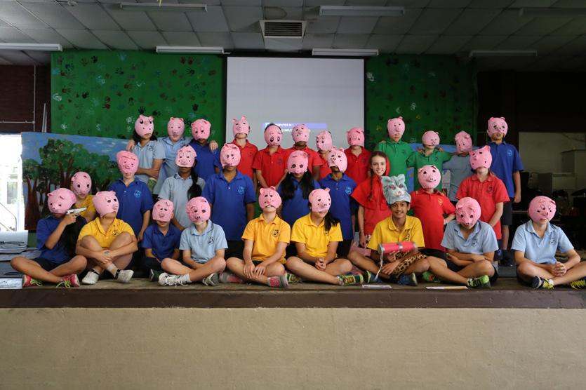 Bull Creek Primary School From the Principal s Desk Friday s Assembly High praise for their wonderful rendition of Three little Pigs based on Roald Dahl s 1982 collection of Revolting Rhymes.