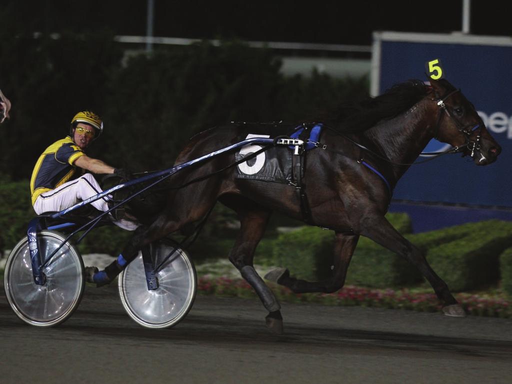 TROTTING TO NEW HEIGHTS Photo by New Image Media One of Durand's top trotters last year was the Revenue S son Whiskey Tax shown above winning the Simcoe Stakes at Mohawk last September.
