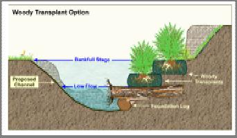 A New Approach Root wads and woody material Bankfull bench