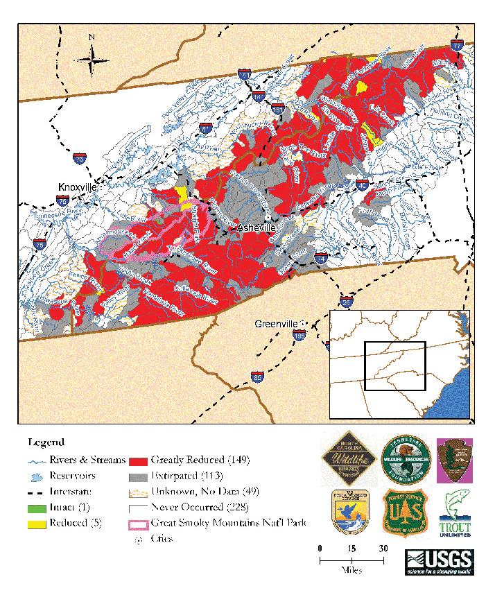 Tennessee & North Carolina Brook Trout Population Status by Subwatershed Map data derived from state and federal data and compiled in EBTJV assessment results titled, Distribution, status, and