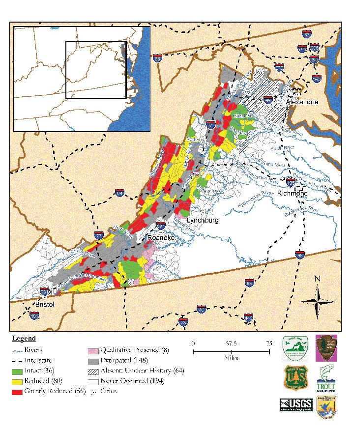 Virginia Brook Trout Population Status by Subwatershed Map data derived from state and federal data and compiled in EBTJV assessment results titled, Distribution, status, and perturbations to brook