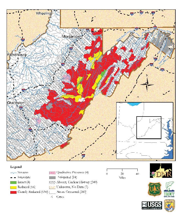 West Virginia Brook Trout Population Status by Subwatershed Map data derived from state and federal data and compiled in EBTJV assessment results titled, Distribution, status, and perturbations to