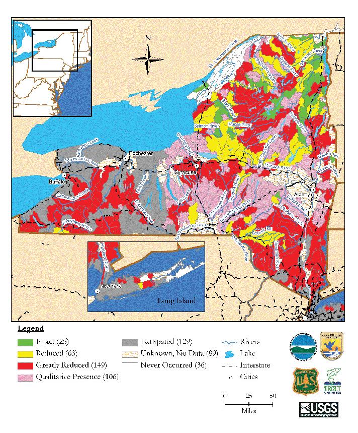 New York Brook Trout Population Status by Watershed Map data derived from state and federal data and compiled in EBTJV assessment results titled, Distribution, status, and perturbations to brook