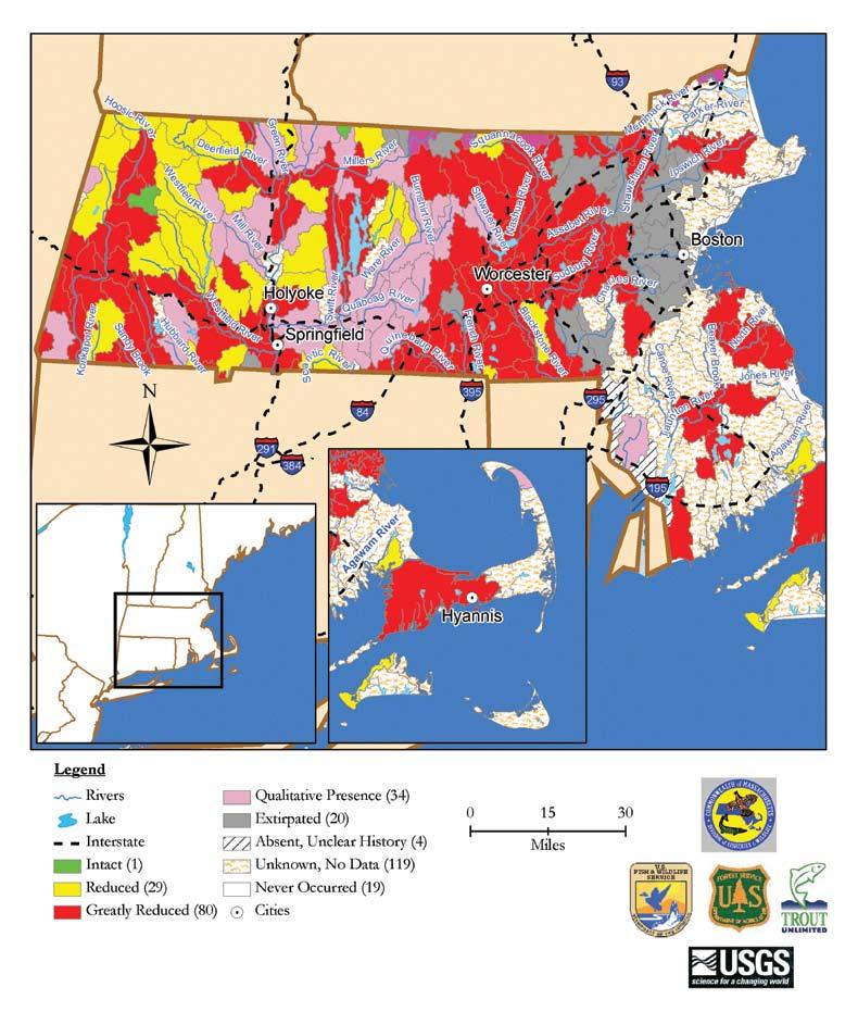 Massachusetts Brook Trout Population Status by Subwatershed Map data derived from state and federal data and compiled in EBTJV assessment results titled, Distribution, status, and perturbations to