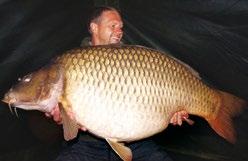 SOME OF THE BEST LOOKING CARP