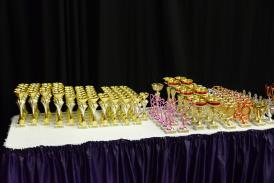 There is no limit in number of participating gymnasts. Individual competition: gymnasts receive medal, present, certification All-around competition: first 3 gymnasts - cups and medals, others medals.