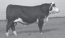 like and 8 year old -Retaining 1/3 interest Feltons Domino 774 Feltons G15 SHF Interstate 20X D03 MM Cisco Lady 203 BW WW YW MILK IMF RE FAT -2.3 43 61.3 19 +.5 +.17 +.