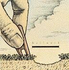 The inability to agree on a single best method stems from the fact that ball marks are not all the same.