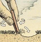 On the same green, a shot that comes in low and hard will produce an elongated tearing of the green, and it often removes a plug of grass and soil.