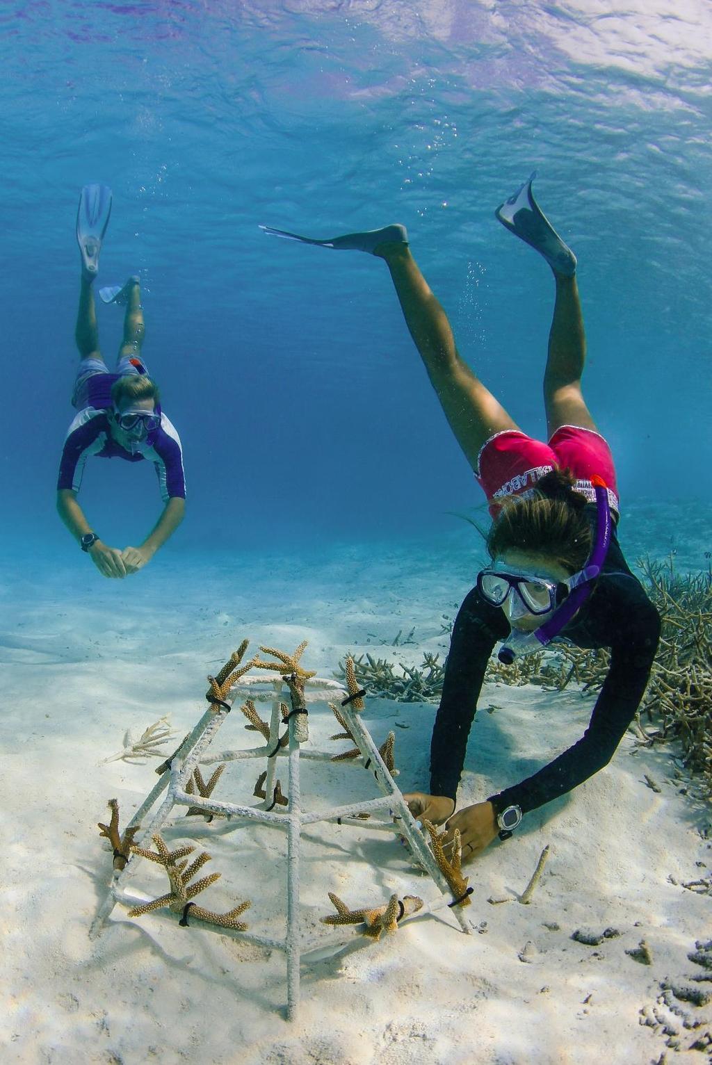 Bio Activities House Reef Guided Snorkeling price per person 75 Photo Adventure Price