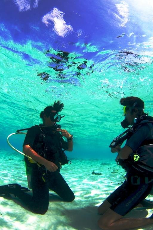 Diving Courses Beginner PADI Courses (Price includes all equipment, training, book, fees and certification) Bubblemaker (8 and 9 years old) 150 Discover Scuba Diving 215 Repeat Discover Scuba Diving