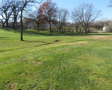 golf course. Trees that are too close to fairways and greens will be removed which will allow improved sunlight and airflow to the turf areas.