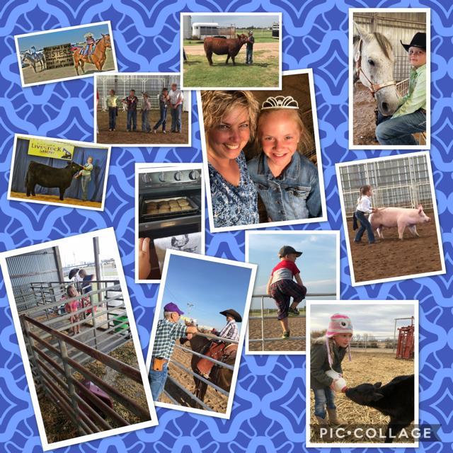 2018 Meade Co Fair Photo Because every single county fair must have
